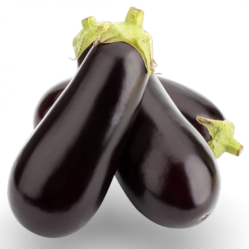 Frische Aubergine, 1 Stück Bioqualität