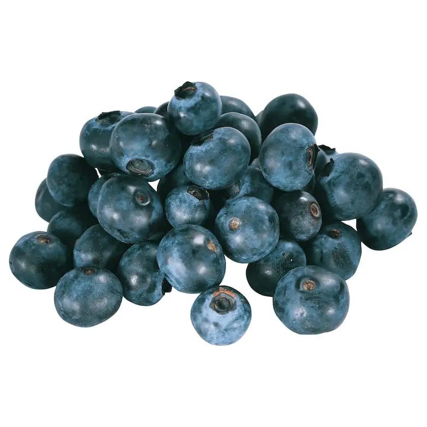 Bio Blaubeeren 125g frisch & lecker - Yahalla ياهلا