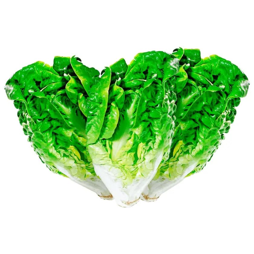 Frische Yahalla Salatköpfe, 3 Stück im Set - Yahalla ياهلا