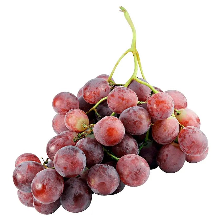 Rote Trauben1,kg frisch und lecker - Yahalla ياهلا