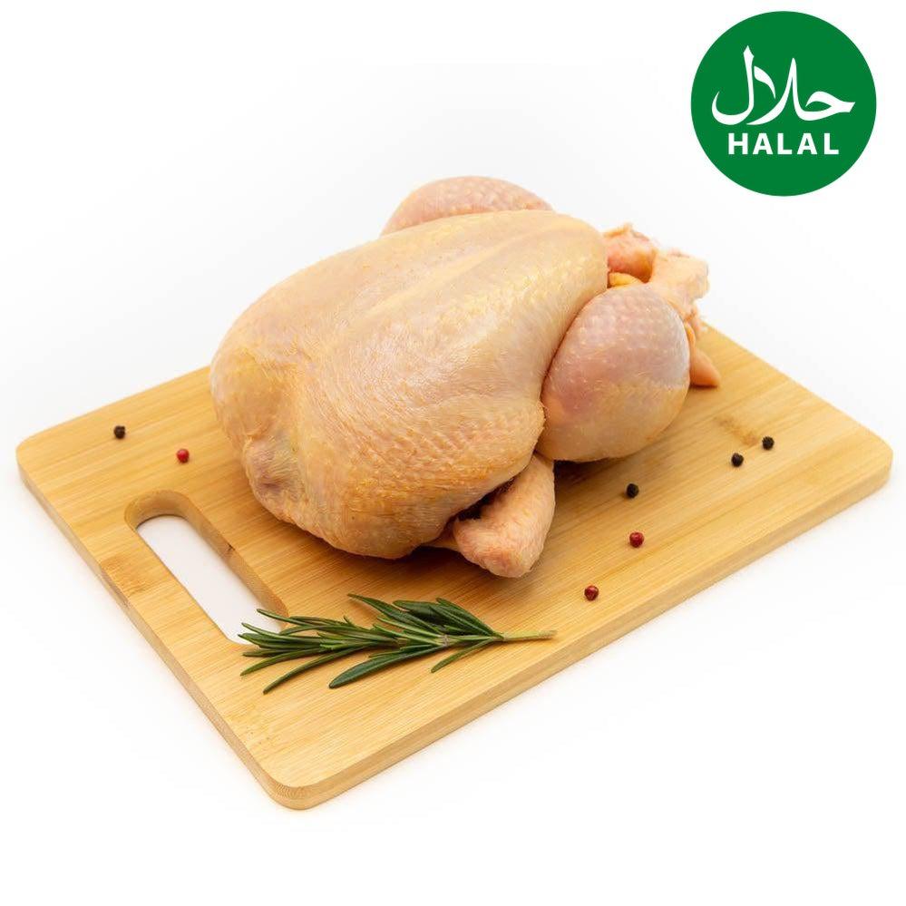 Maishähnchen Yahalla ياهلا