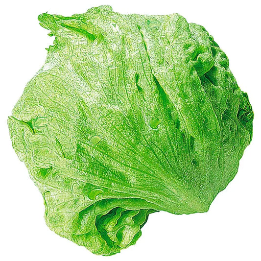 خس قطعة واحدة Yahalla