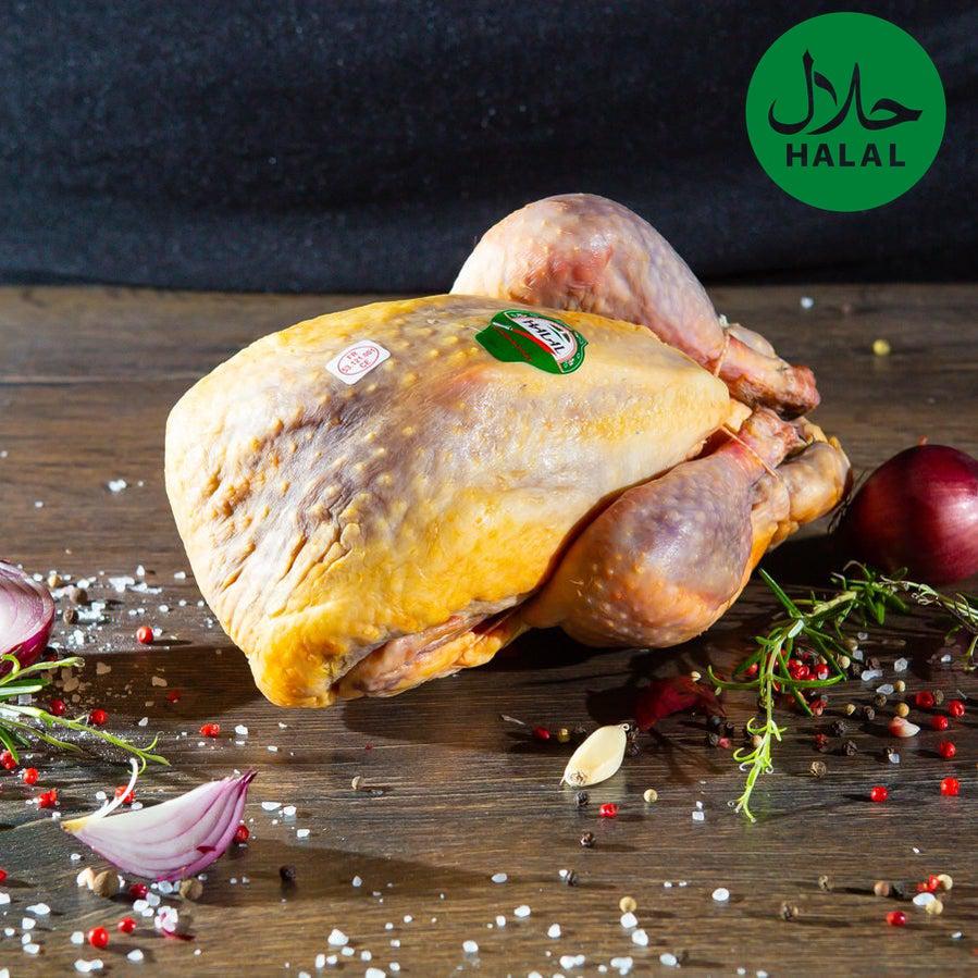 Perlhuhn Yahalla ياهلا