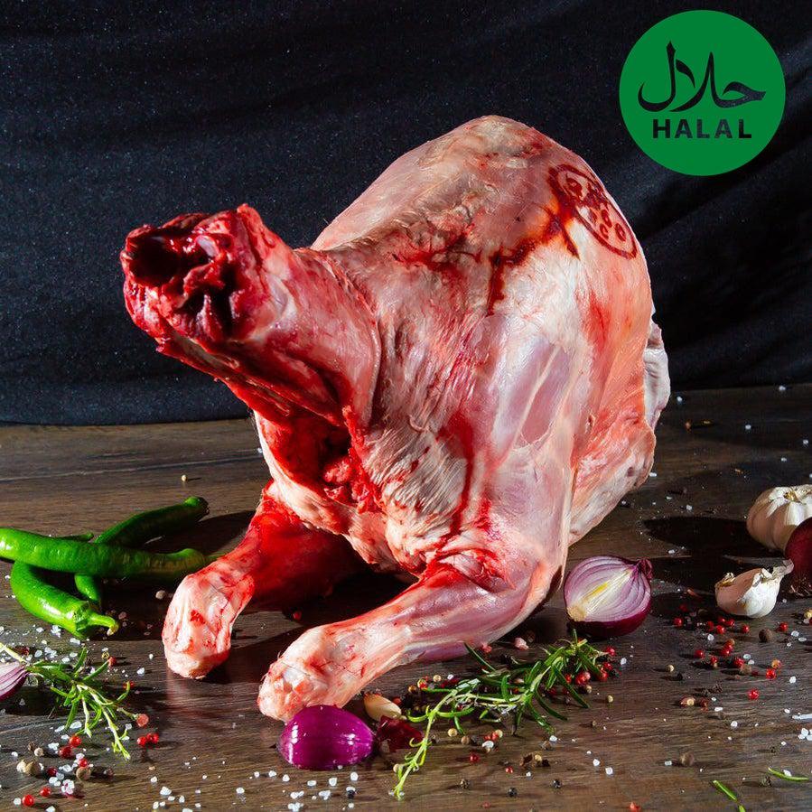 Ganzes Lamm Yahalla ياهلا