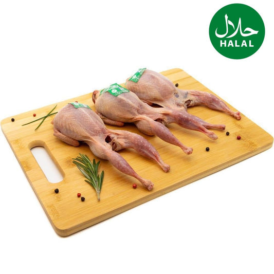 Wachteln 3Stk. Yahalla ياهلا