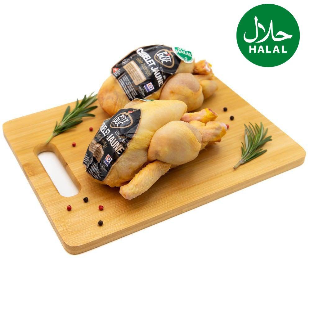 Stubenküken "Coquelet" 2Stk Yahalla ياهلا