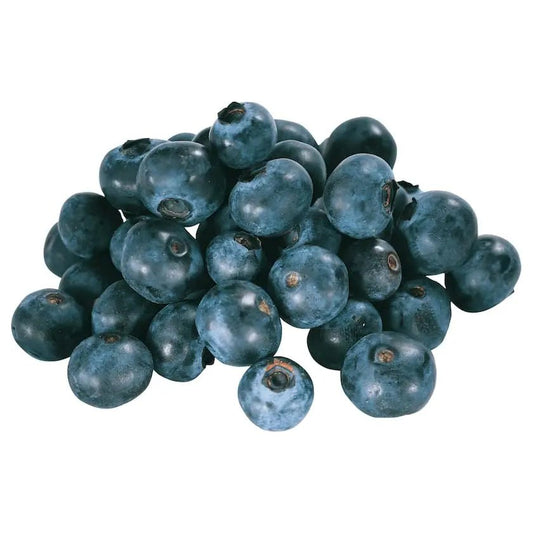 Bio Blaubeeren 125g frisch & lecker - Yahalla ياهلا