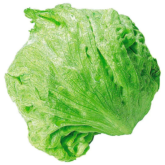 Frische Kopfsalat - knackig & lecker 1,Stück - Yahalla ياهلا