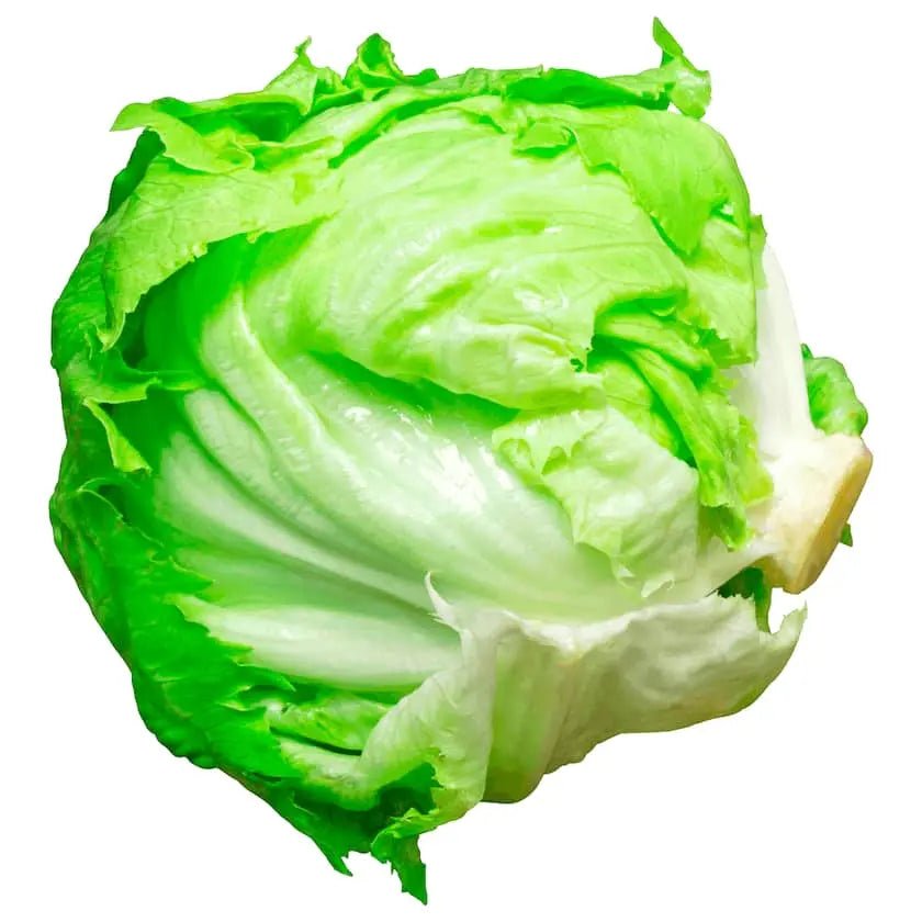 Frischer Yahalla Eisbergsalat, knackig & lecker 1,Stuck - Yahalla ياهلا