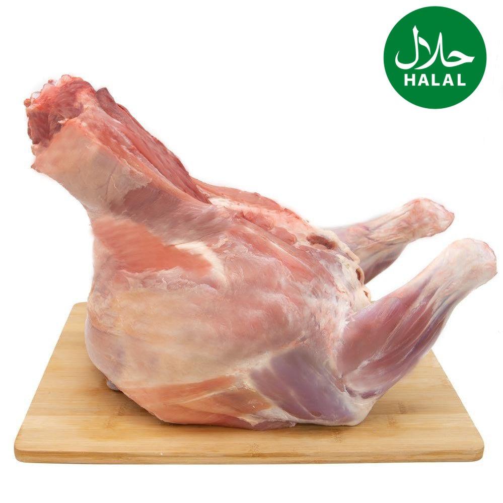 Ganzes Lamm Yahalla ياهلا