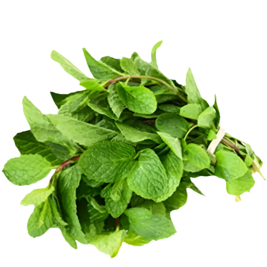 Minze frisch - Yahalla ياهلا