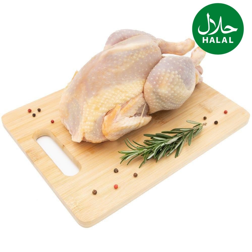 Suppenhuhn Yahalla ياهلا