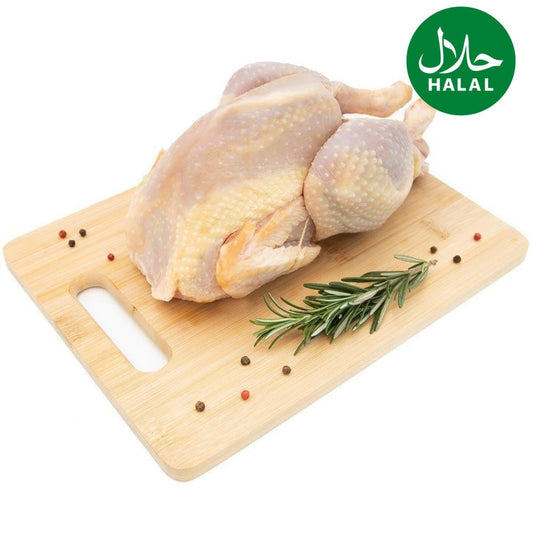 Suppenhuhn Yahalla ياهلا